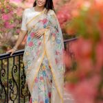 Cotton Check Saree